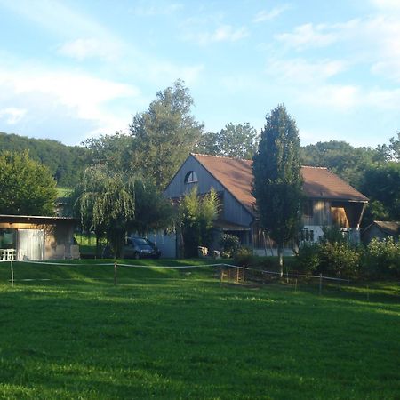 Bnb Pavillon Paisible Orsonnens Esterno foto